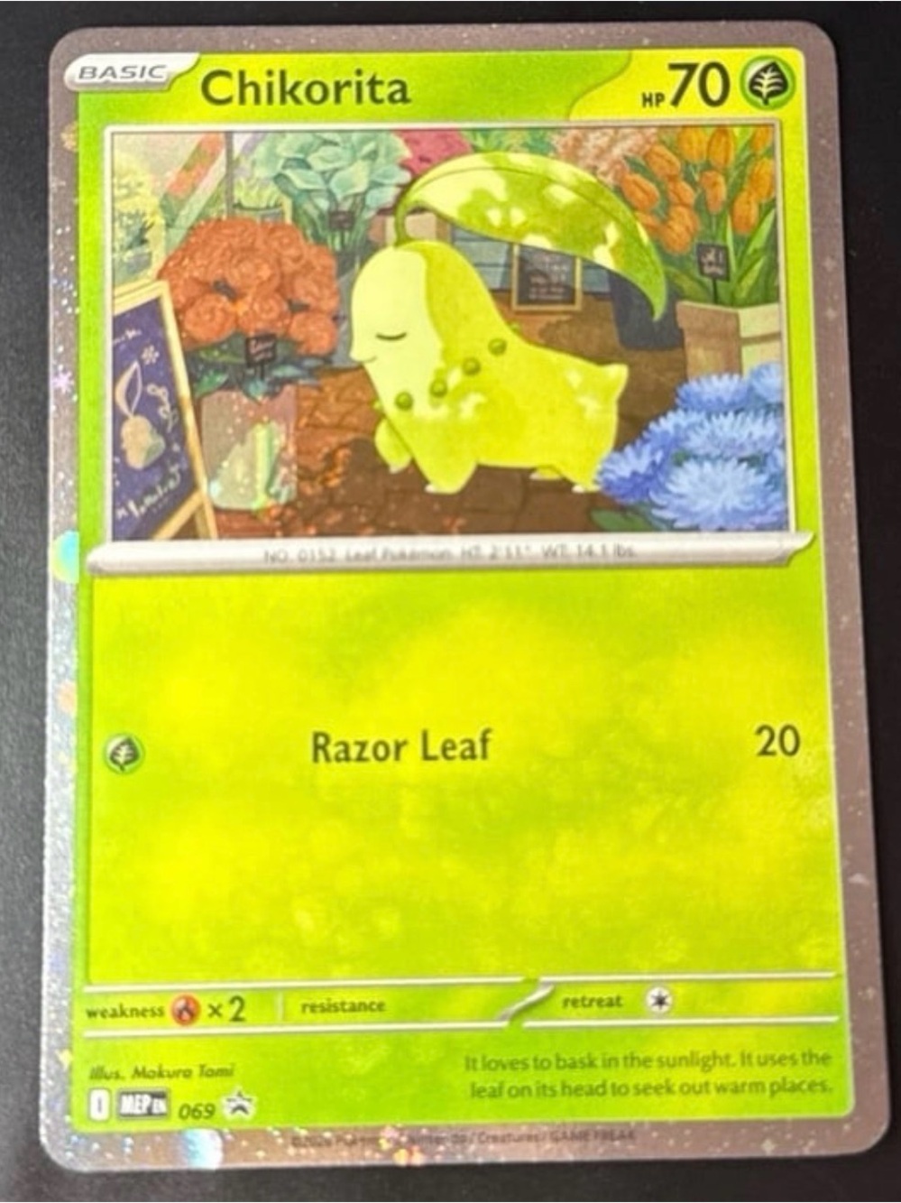Chikorita 069 Promo Rare Cosmos HoloFoil Bleed with mouth swirl 2026 released NM